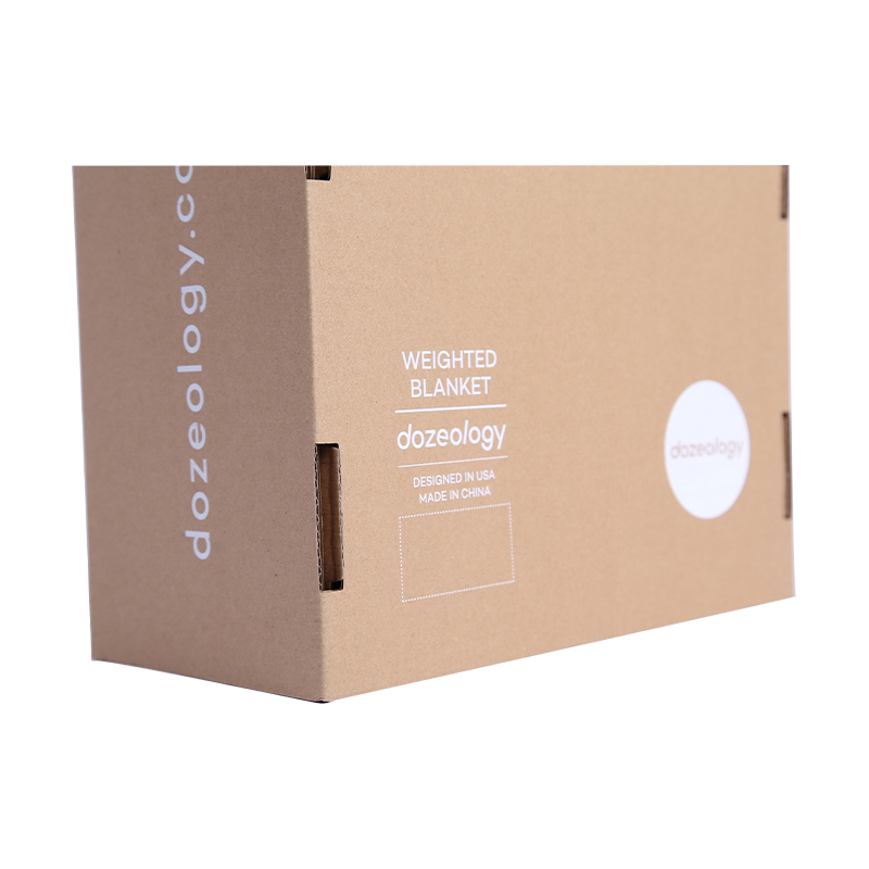 Biodegradable kraft mounted corrugated board box with plastic handle 