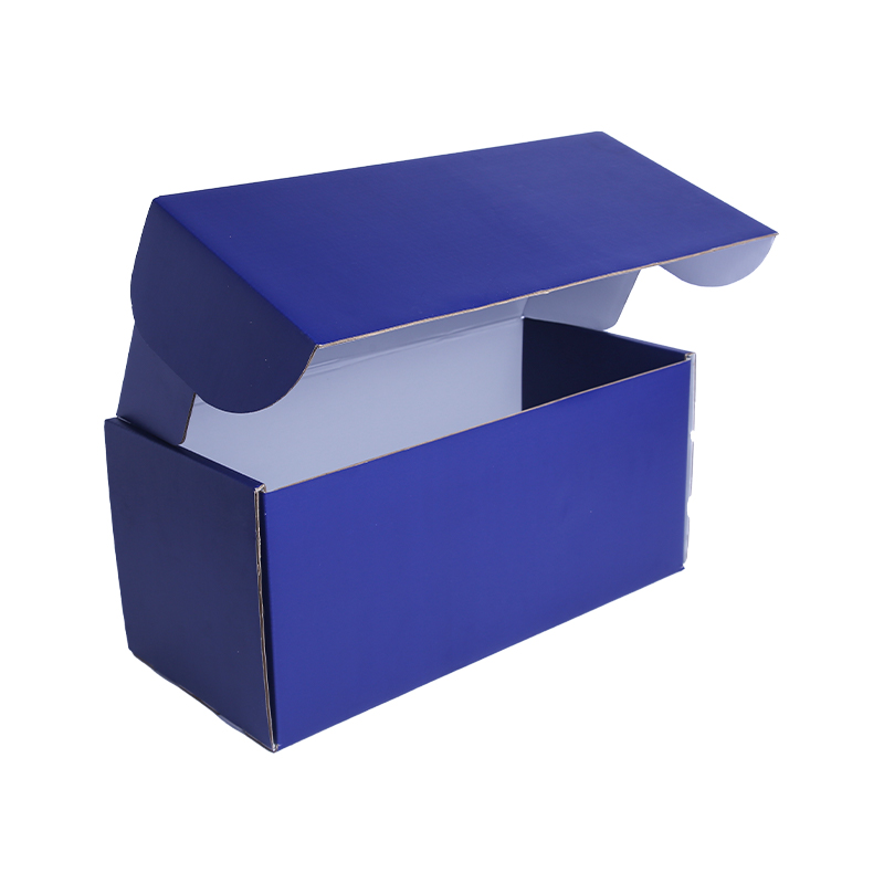 Two side offset printing carton box for shoes 